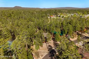 4770 Mountain Gate Cir, Lakeside, AZ 85929 - Photo 45
