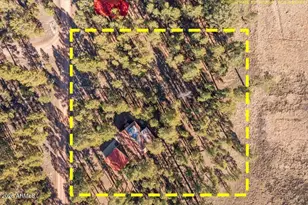 10 County Rd 2271, Alpine, AZ 85920 - Photo 27