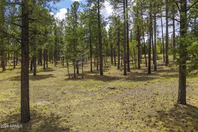 2184 N Highway 191 -- #-, Nutrioso, AZ 85932 - Photo 17