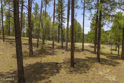 2184 N Highway 191 -- #-, Nutrioso, AZ 85932 - Photo 19