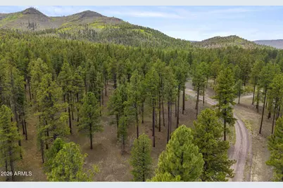 2184 N Highway 191 -- #-, Nutrioso, AZ 85932 - Photo 13