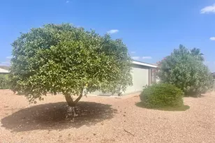 437 E Germann Rd, San Tan Valley, AZ 85140 - Photo 31
