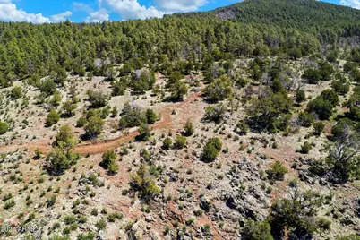 18 Ponderosa Drive #-, Munds Park, AZ 86017 - Photo 31