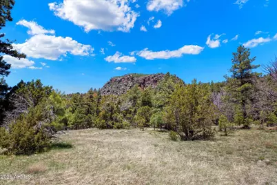 18 Ponderosa Drive #-, Munds Park, AZ 86017 - Photo 5