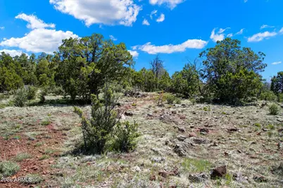 18 Ponderosa Drive #-, Munds Park, AZ 86017 - Photo 11