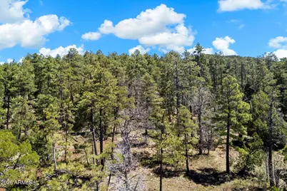 18 Ponderosa Drive #-, Munds Park, AZ 86017 - Photo 29
