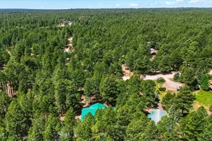 1233 Merzville Rd, Forest Lakes, AZ 85931 - Photo 37