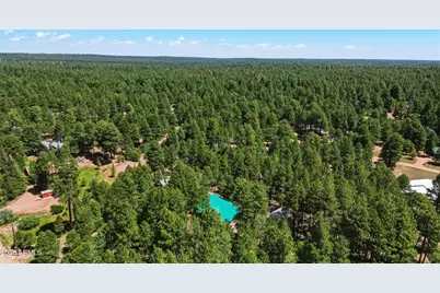 1233 Merzville Road, Forest Lakes, AZ 85931 - Photo 39