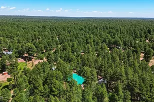 1233 Merzville Rd, Forest Lakes, AZ 85931 - Photo 39