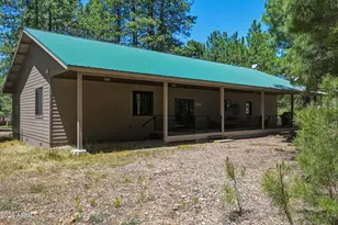 1233 Merzville Rd, Forest Lakes, AZ 85931 - Photo 29