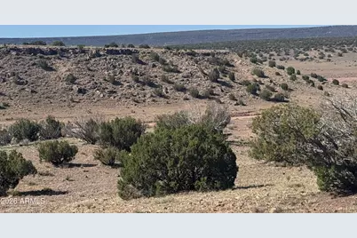 Lot 901 Woodland Valley Ranch -- #901, Saint Johns, AZ 85936 - Photo 19