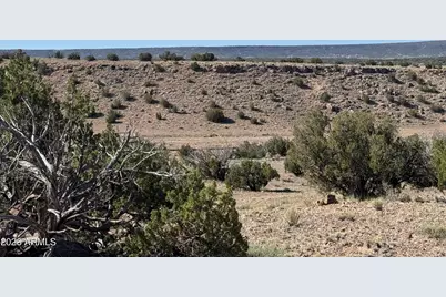 Lot 901 Woodland Valley Ranch -- #901, Saint Johns, AZ 85936 - Photo 9