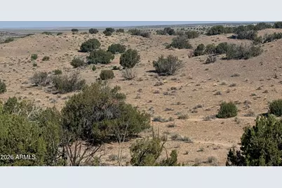 Lot 901 Woodland Valley Ranch -- #901, Saint Johns, AZ 85936 - Photo 15