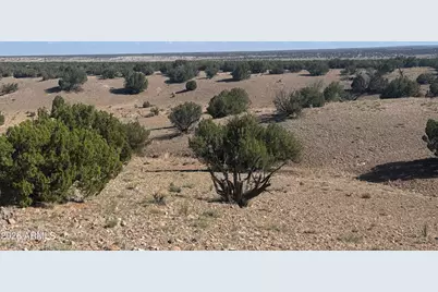 Lot 901 Woodland Valley Ranch -- #901, Saint Johns, AZ 85936 - Photo 11