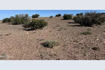 Lot 901 Woodland Valley Ranch -- #901, Saint Johns, AZ 85936 - Photo 5