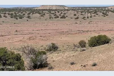 Lot 901 Woodland Valley Ranch -- #901, Saint Johns, AZ 85936 - Photo 7