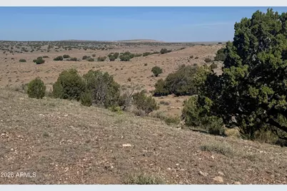 Lot 901 Woodland Valley Ranch -- #901, Saint Johns, AZ 85936 - Photo 13