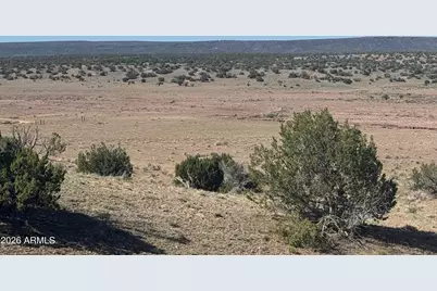 Lot 901 Woodland Valley Ranch -- #901, Saint Johns, AZ 85936 - Photo 17