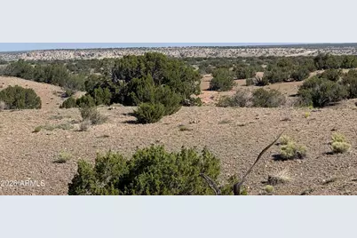 Lot 901 Woodland Valley Ranch -- #901, Saint Johns, AZ 85936 - Photo 3