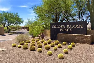 7250 W Cactus Flower Pass, Marana, AZ 85658 - Photo 35