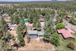 963 W Pima Ln, Pinetop-Lakeside, AZ 85929 - Photo 29
