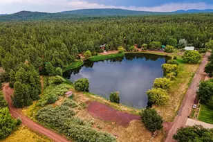 963 W Pima Ln, Pinetop-Lakeside, AZ 85929 - Photo 3