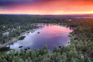963 W Pima Ln, Pinetop-Lakeside, AZ 85929 - Photo 27