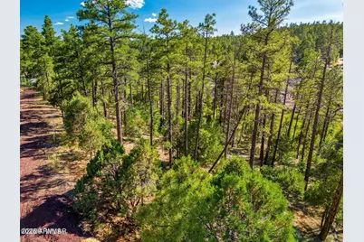 Tbd E Ellsworth -- #3, Show Low, AZ 85901 - Photo 1