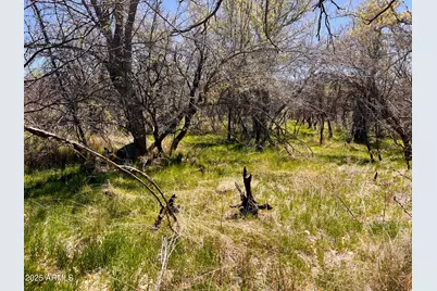2900 Old Skull Valley Road #-, Skull Valley, AZ 86338 - Photo 3