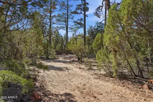 2060 Gilbert Ln, Overgaard, AZ 85933 - Photo 5