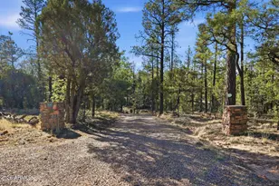 2060 Gilbert Ln, Overgaard, AZ 85933 - Photo 7