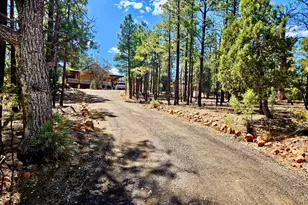 2060 Gilbert Ln, Overgaard, AZ 85933 - Photo 87