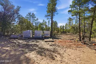 2060 Gilbert Ln, Overgaard, AZ 85933 - Photo 61