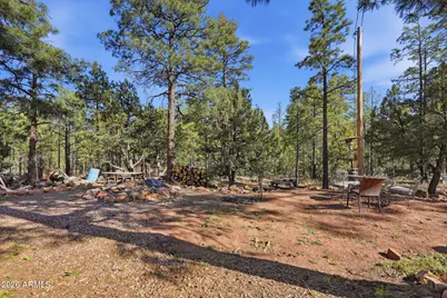 2060 Gilbert Lane, Overgaard, AZ 85933 - Photo 53