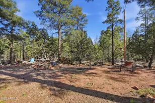 2060 Gilbert Ln, Overgaard, AZ 85933 - Photo 53