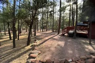 5265 N Squirrel Run, Pine, AZ 85544 - Photo 25