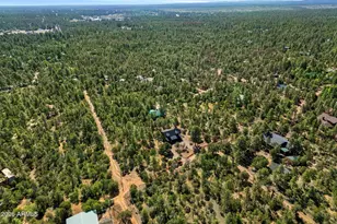 2797 Paradise Pines Rd, Overgaard, AZ 85933 - Photo 31