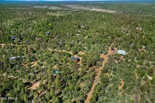2797 Paradise Pines Rd, Overgaard, AZ 85933 - Photo 33