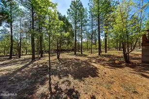 2797 Paradise Pines Rd, Overgaard, AZ 85933 - Photo 27