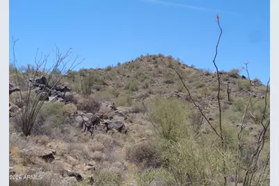 15518 N Javelina Trail #214, Fountain Hills, AZ 85268 - Photo 5
