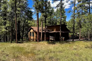 4822 N Brandon Way, Strawberry, AZ 85544 - Photo 33