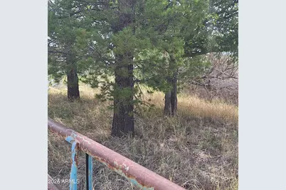 3470 W Double Adobe Road #-, Douglas, AZ 85607 - Photo 3