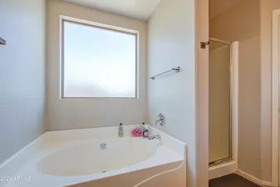 3466 W Mineral Butte Drive, San Tan Valley, AZ 85144 - Photo 41