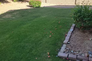 14875 N 103rd St, Scottsdale, AZ 85255 - Photo 7