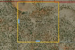 Tbd Acr N8388 and N8385 --, Concho, AZ 85924 - Photo 1