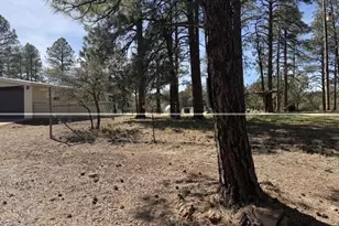 988 Timberland Rd, Show Low, AZ 85901 - Photo 15
