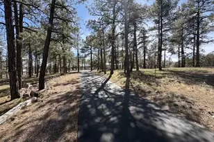 988 Timberland Rd, Show Low, AZ 85901 - Photo 63
