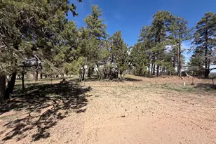 988 Timberland Rd, Show Low, AZ 85901 - Photo 17