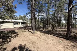 988 Timberland Rd, Show Low, AZ 85901 - Photo 57