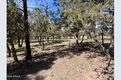988 Timberland Road, Show Low, AZ 85901 - Photo 73